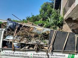 Trusted Cottondale, AL Junk Removal Services Experts